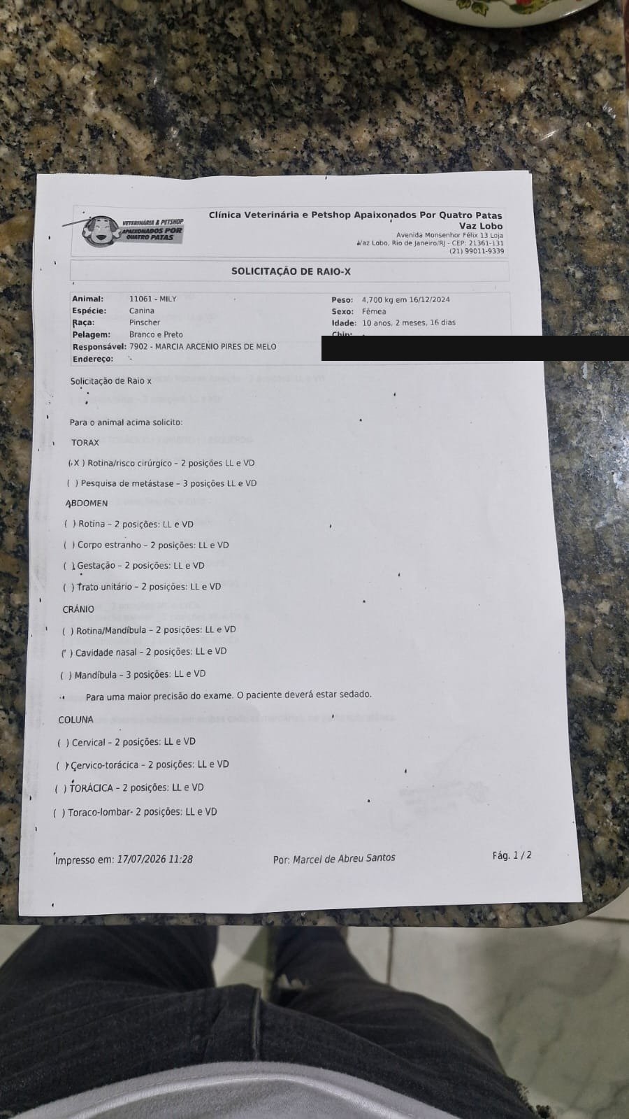 Solicitação de raio-x (1/2)