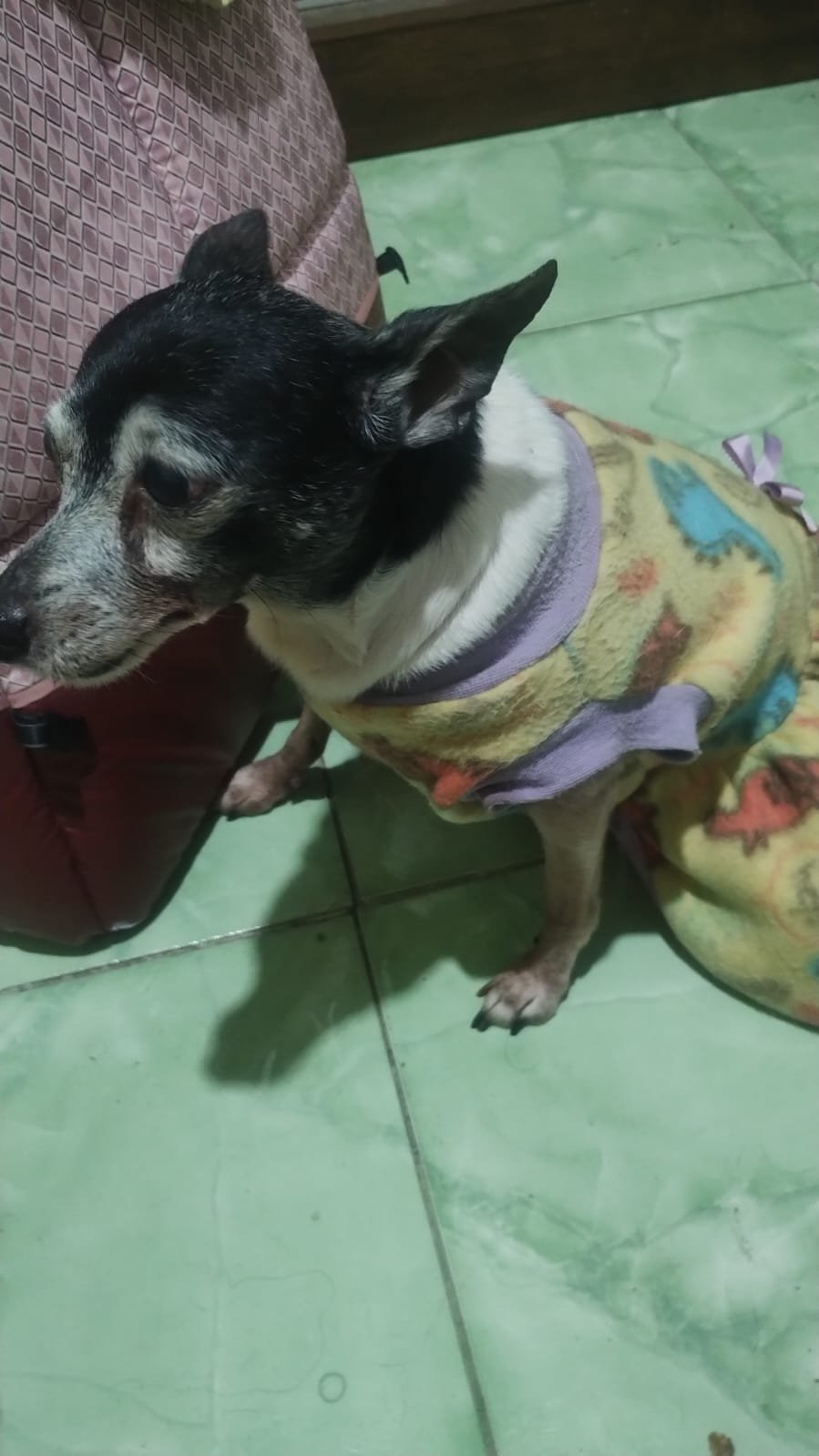 A Mily no dia a dia